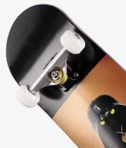 Inpeddo Cat Vader 7.75" Komplettboard (black) 4 Inpeddo Cat Vader 7.75" Komplettboard (black) – Bild 4